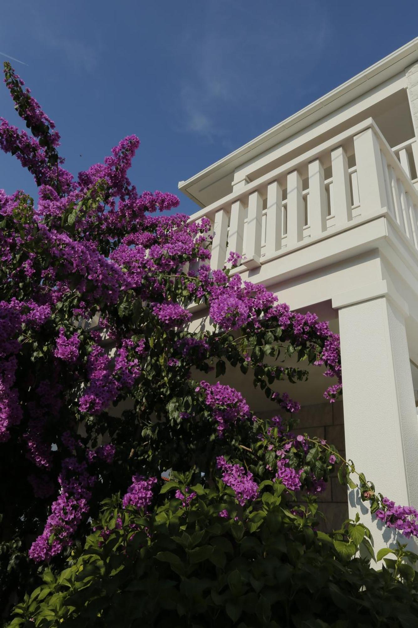Apartments Marino Supetar Dış mekan fotoğraf